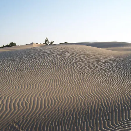 فندق Caretta باتارا