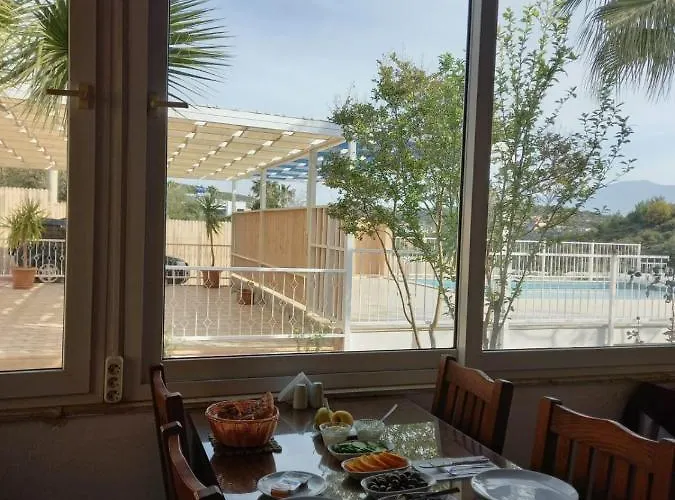 Caretta * Патара