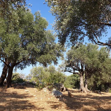 Caretta מלון פטארה