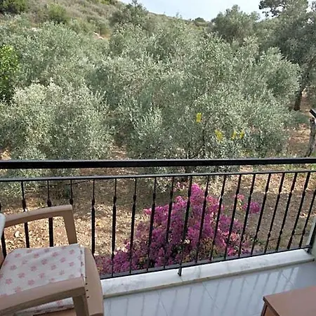 Caretta Hotel Patara