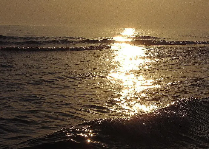 Caretta