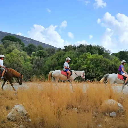 Caretta Отель *