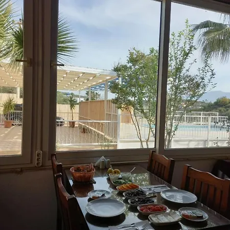 Caretta * Патара