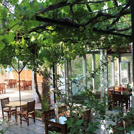 Caretta Отель *